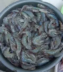 Shrimps 26/30 Block Ohne Sch. 1.2kg