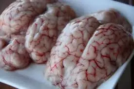 Goat Brain TK
