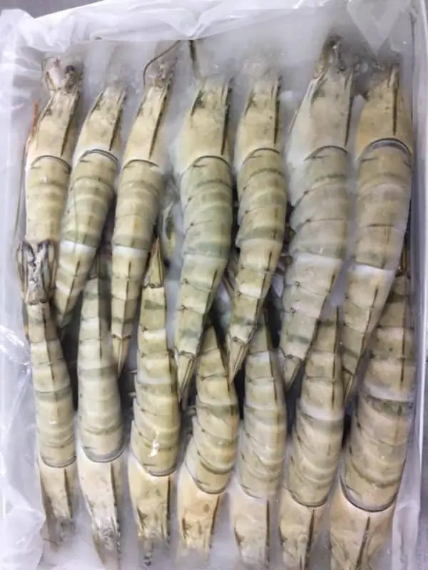  Seacon Vannamei Shrimps HLSO ezp 8/12 IQF 25% -VN 1kg