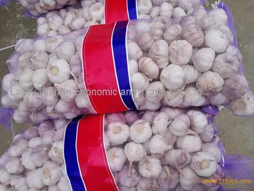 Frozen Wanxing Whole Peeled Garlic 1kg
