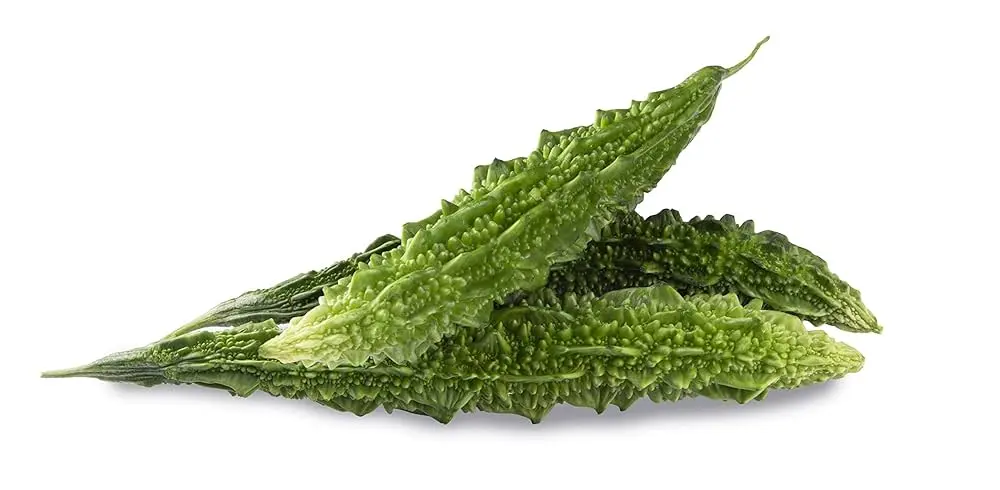 Fresh Bitter Gourd/Karela