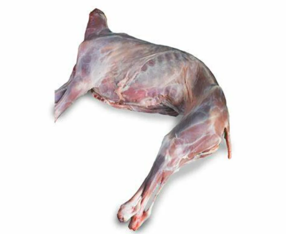 [310077] Frozen Whole Goat Head ES