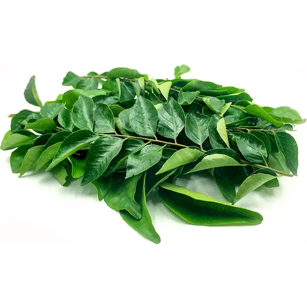 Fresh Curry Leaves