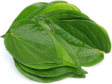 [270027] Fresh Betel Leaves