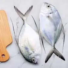 [310025] Fresh Trevally/Parai Fish