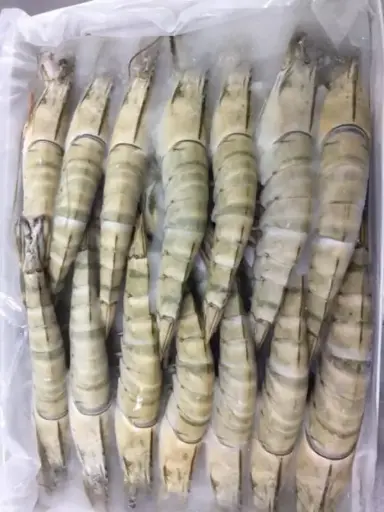 [310020]  Seacon Vannamei Shrimps HLSO ezp 8/12 IQF 25% -VN 1kg