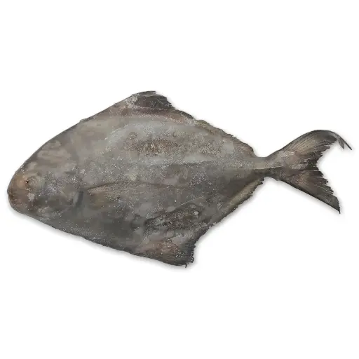 [310001] Jona Black Pomfret Frozen 400-500g