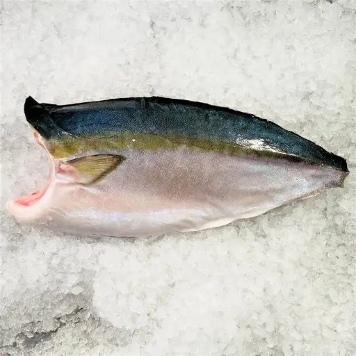 [310041] King Fish With Bone & Skin