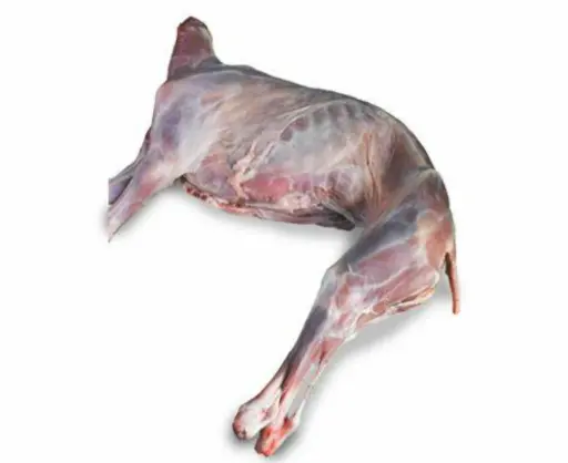 [310077] Frozen Whole Goat Head ES